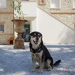 Gospodarstwo wiejskie Borgoparvo Countryvilla *